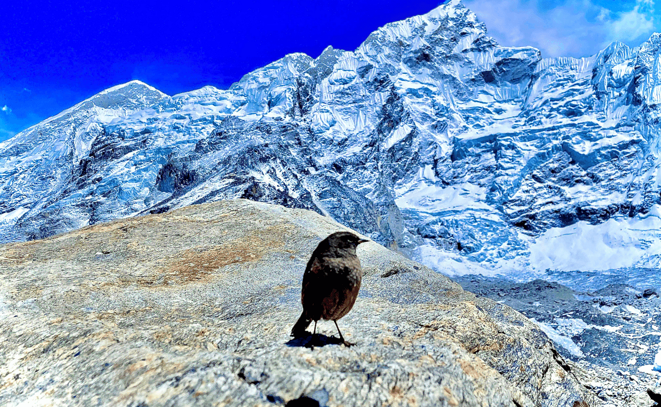 weather-in-everest-base-camp